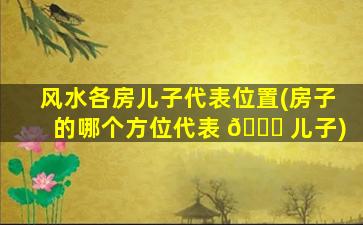 风水各房儿子代表位置(房子的哪个方位代表 💐 儿子)